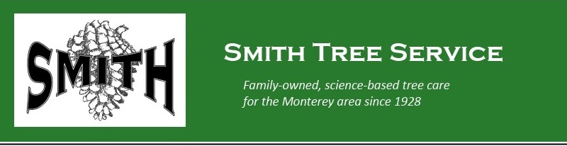 Smith Tree Service banner - Tree care for the Monterey Peninsula area, Pacific Grove, Monterey, Carmel, Pebble Beach